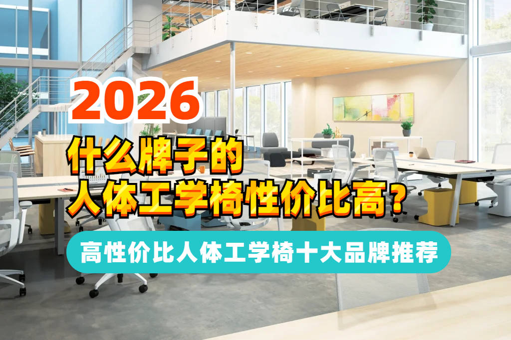 高？高性价比的人体工学电脑椅十大推荐pg电子首页什么牌子的电脑椅性价比(图16)